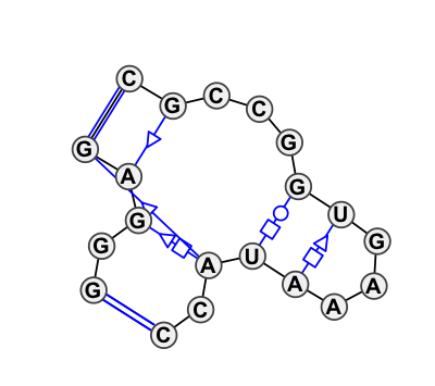 2D diagram
