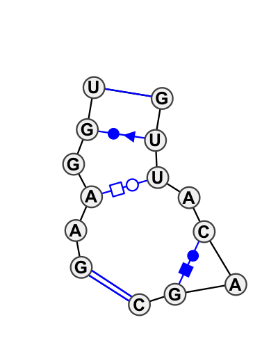 IL_94958.1