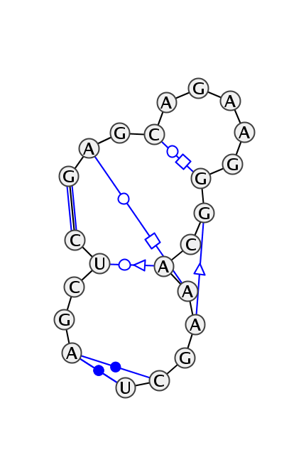 IL_01454.1