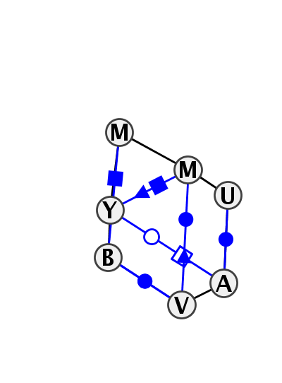 IL_02554.1
