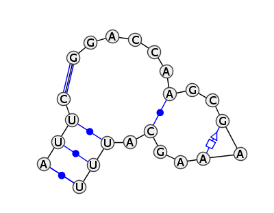 IL_09356.1