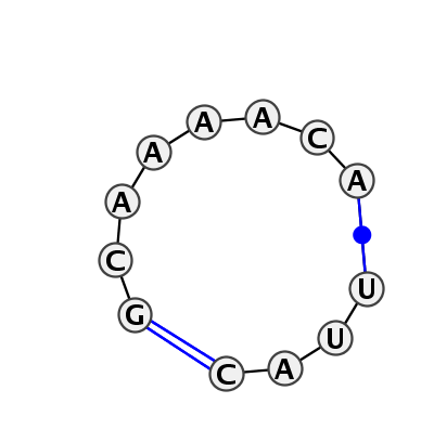 IL_15597.1