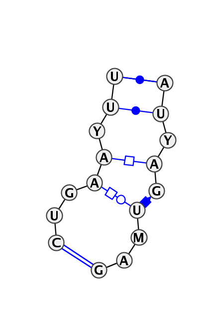 IL_24794.1