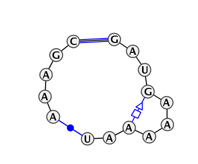 IL_41876.1