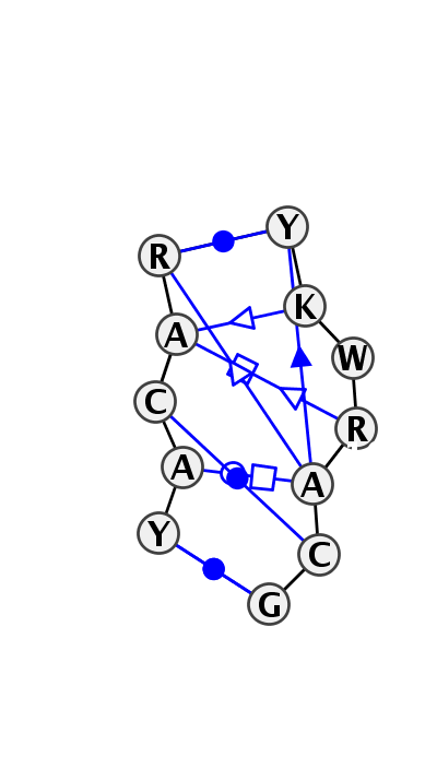IL_43081.1