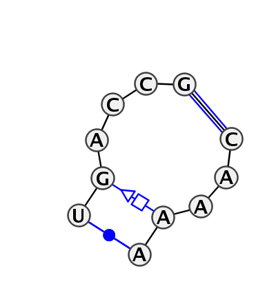 IL_55942.1