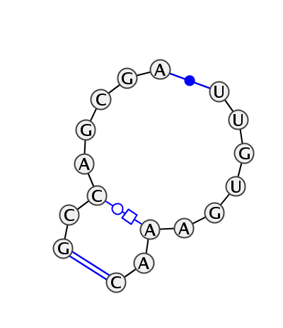 IL_65060.1