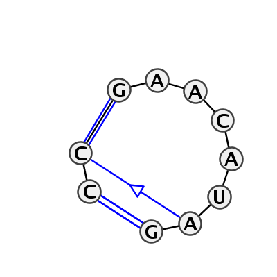 IL_79966.1