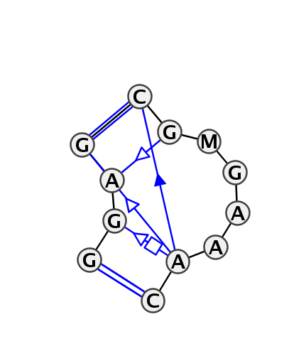 IL_90460.1