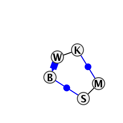 IL_49053.1