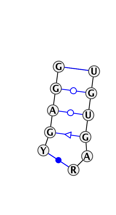 IL_83675.1