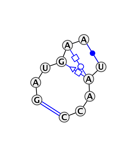 IL_80446.1