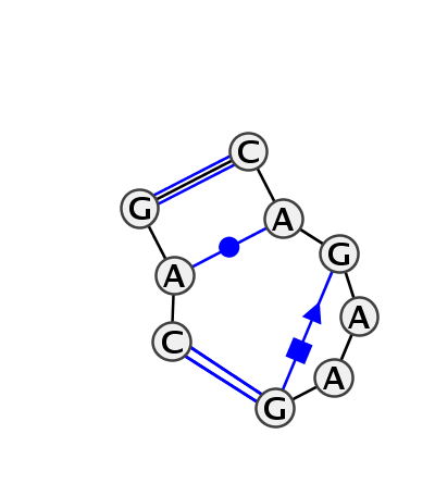 IL_16348.1
