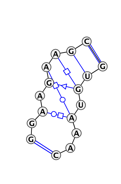 IL_58819.1