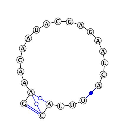 IL_80355.1