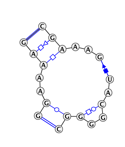 IL_13013.1