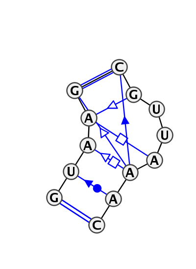 IL_85931.1