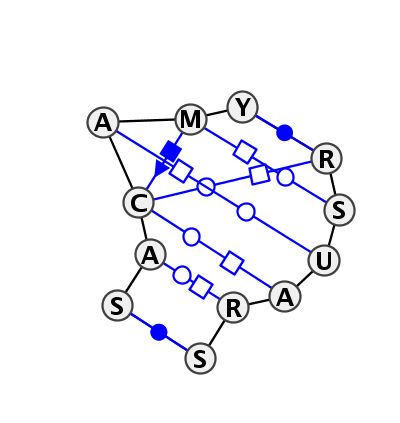 IL_42898.1