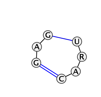 IL_55482.1