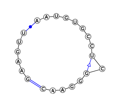 IL_13394.1