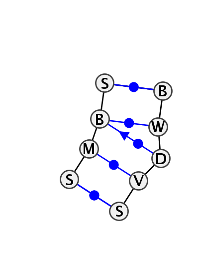 IL_18776.1