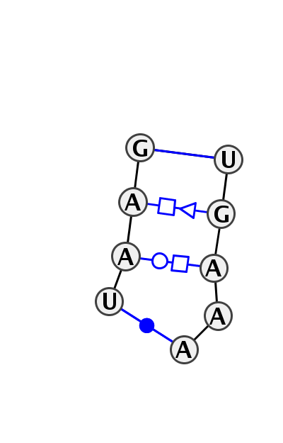 IL_45988.1