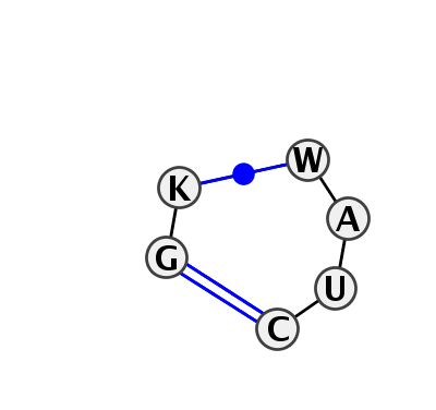 IL_91036.1