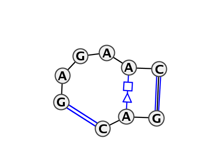 IL_12052.1