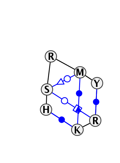 IL_08376.1