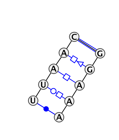 IL_14397.1