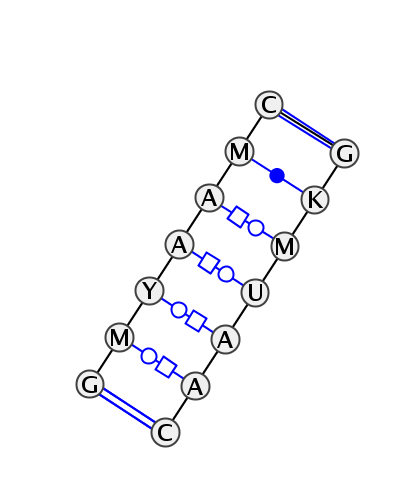 2D diagram