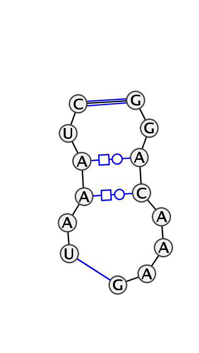 IL_96942.1
