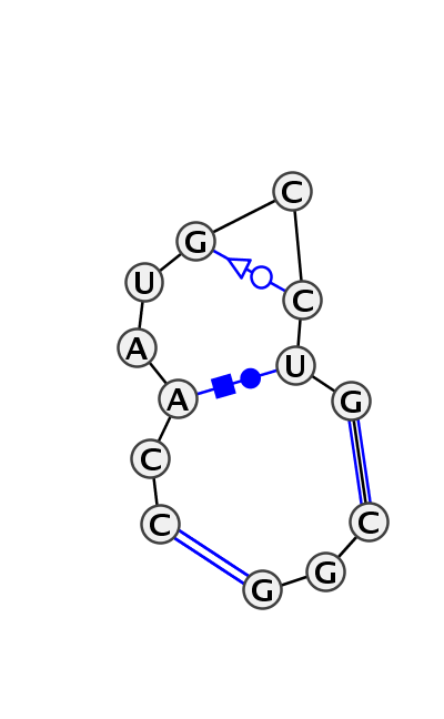 IL_45481.1