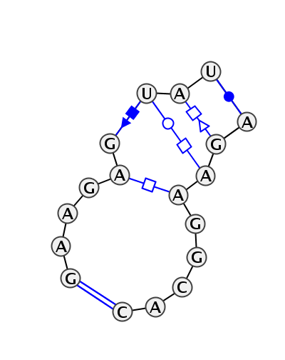 2D diagram