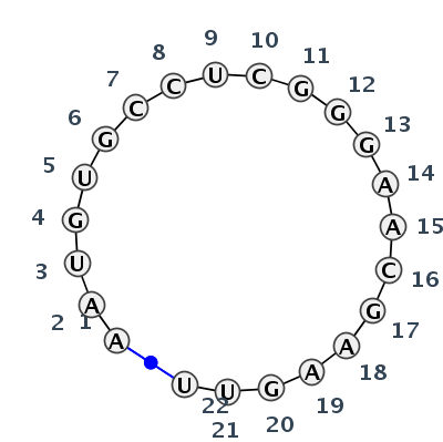 IL_13394.1