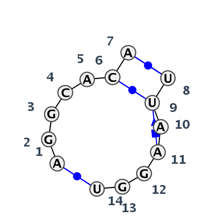 IL_19048.1