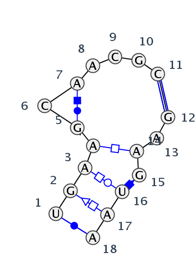 IL_20463.1