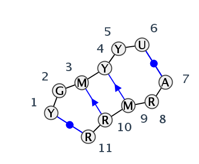 IL_57343.1