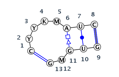 IL_77870.1