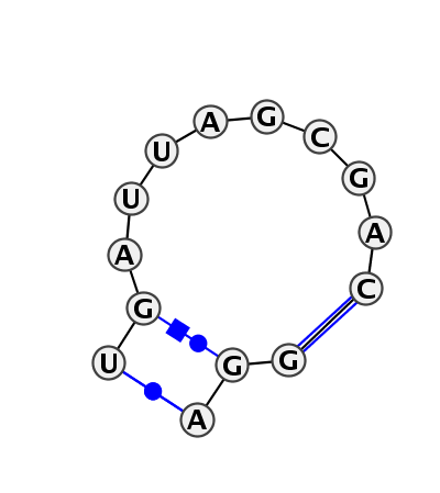 IL_01335.1