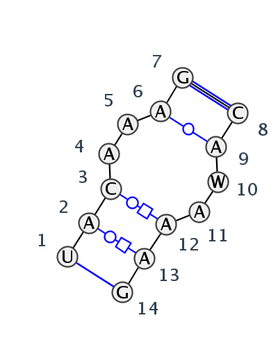 IL_09129.1