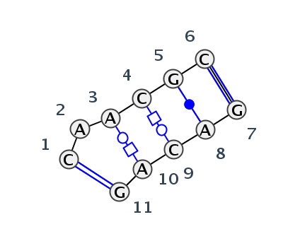 IL_22436.1