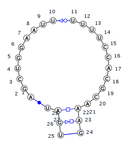 IL_46461.1