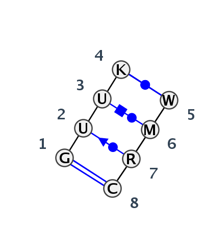 IL_53206.1