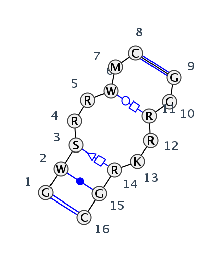 IL_57273.1
