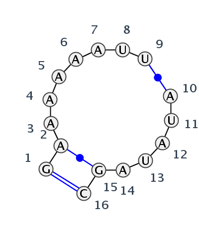 IL_69091.1