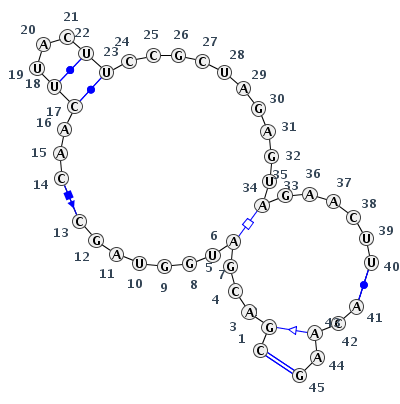 IL_77827.1