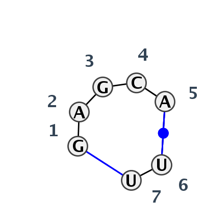IL_01393.1