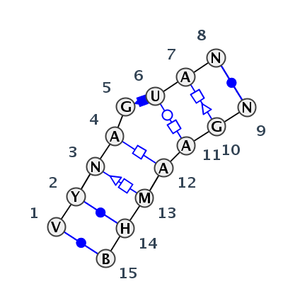 IL_04346.7