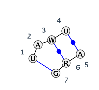 IL_38684.1